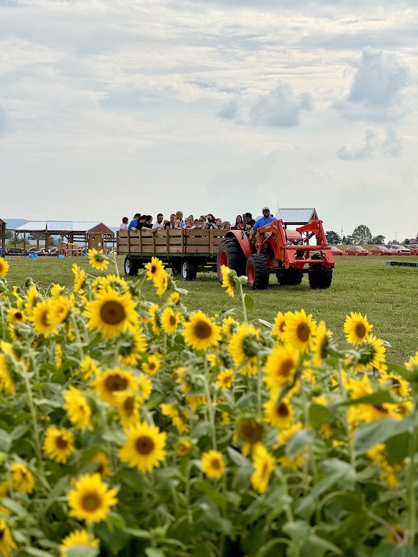 MackMazing Acres photo 2